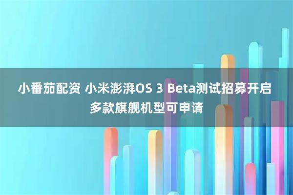 小番茄配资 小米澎湃OS 3 Beta测试招募开启 多款旗舰机型可申请