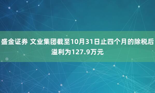 盛金证券 文业集团截至10月31日止四个月的除税后溢利为127.9万元