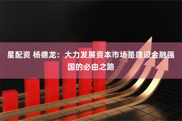 星配资 杨德龙：大力发展资本市场是建设金融强国的必由之路